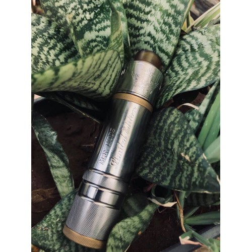 MRN 21700 HYBRID SEXY BEAST AND 30MM RDA